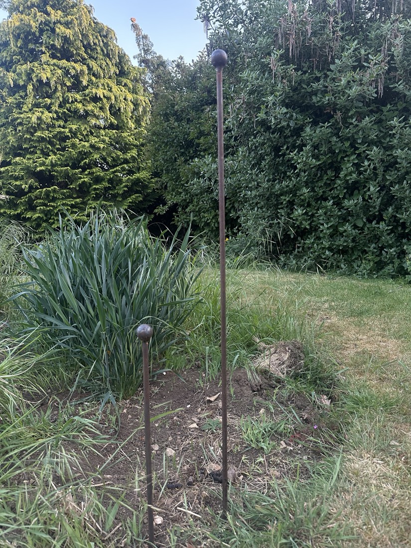 Steel plant support in a garden border